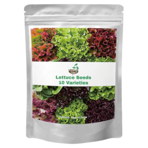 20,000+ Lettuce Seeds – 10 Heirloom Varieties for Indoor & Outdoor Planting | Non-GMO, High Germination | Includes Romaine, Iceberg, Boston, Bibb & More | Garden & Hydroponic Growing Kit