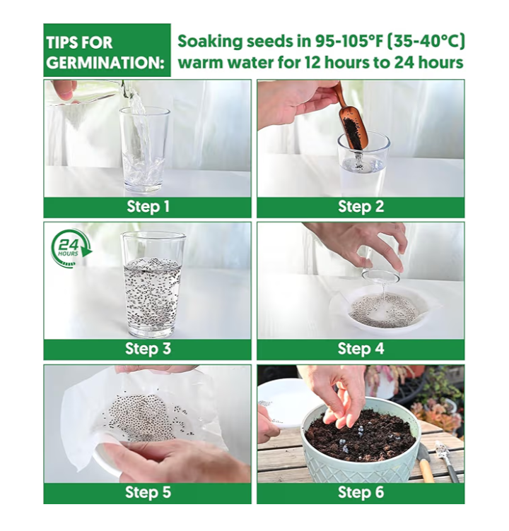 20,000+ Lettuce Seeds – 10 Heirloom Varieties for Indoor & Outdoor Planting | Non-GMO, High Germination | Includes Romaine, Iceberg, Boston, Bibb & More | Garden & Hydroponic Growing Kit - Image 2