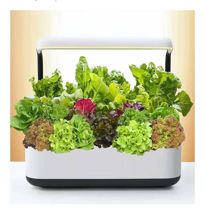 20,000+ Lettuce Seeds – 10 Heirloom Varieties for Indoor & Outdoor Planting | Non-GMO, High Germination | Includes Romaine, Iceberg, Boston, Bibb & More | Garden & Hydroponic Growing Kit - Image 5